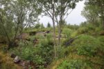 mkb_3-511_bjarkoey_2023_026