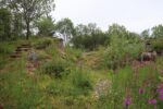 mkb_3-511_bjarkoey_2023_037