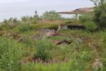 mkb_3-511_bjarkoey_2023_047