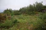mkb_3-511_bjarkoey_2023_058
