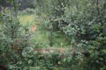 mkb_3-511_bjarkoey_2023_066