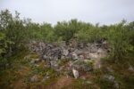 mkb_3-511_bjarkoey_2023_074