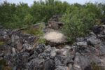 mkb_3-511_bjarkoey_2023_075