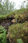 mkb_3-511_bjarkoey_2023_084