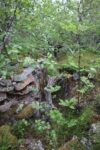 mkb_3-511_bjarkoey_2023_090