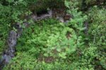 mkb_3-511_bjarkoey_2023_093