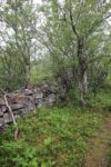 mkb_3-511_bjarkoey_2023_097