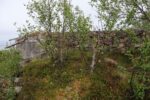 mkb_3-511_bjarkoey_2023_180