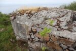 mkb_3-511_bjarkoey_2023_193