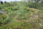 mkb_3-511_bjarkoey_2023_199