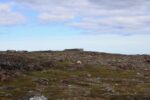 mkb_3-513_kiberg_2019_063