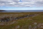 mkb_3-513_kiberg_2019_171