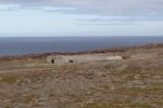mkb_3-513_kiberg_2019_175