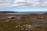 mkb_3-513_kiberg_2019_176