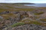 mkb_3-513_kiberg_2019_177