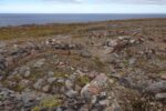mkb_3-513_kiberg_2019_181