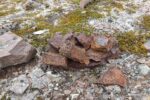 mkb_3-513_kiberg_2019_229