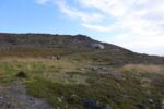 mkb_3-513_kiberg_2023_002