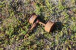 mkb_3-513_kiberg_2023_079