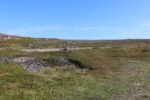 mkb_3-513_kiberg_2023_111