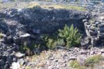 mkb_3-513_kiberg_2023_122
