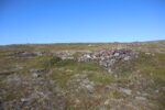 mkb_3-513_kiberg_2023_127