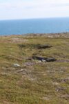 mkb_3-513_kiberg_2023_128
