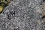 mkb_3-513_kiberg_2023_145
