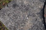 mkb_3-513_kiberg_2023_147