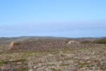 mkb_3-513_kiberg_2023_153