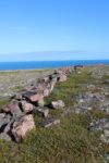 mkb_3-513_kiberg_2023_213
