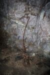mkb_3-513_kiberg_2023_232
