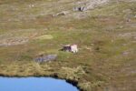 mkb_3-513_kiberg_2023_247