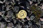 mkb_3-513_kiberg_2023_250