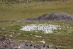 mkb_3-513_kiberg_2023_266