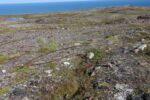 mkb_3-513_kiberg_2023_273