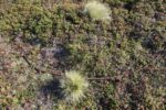 mkb_3-513_kiberg_2023_371