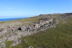 mkb_3-513_kiberg_2023_379