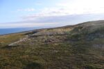 mkb_3-513_kiberg_2023_387