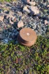 mkb_3-513_kiberg_2023_390