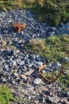 mkb_3-513_kiberg_2023_391