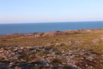 mkb_3-513_kiberg_2023_430