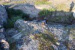 mkb_3-513_kiberg_2023_442