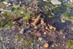 mkb_3-513_kiberg_2023_472