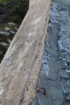 mkb_3-513_kiberg_2023_513