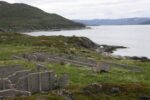 mkb_3-514_6-514_store-korsnes-I-II_2019_009
