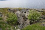 mkb_3-514_6-514_store-korsnes-I-II_2019_035