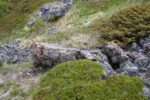mkb_3-514_6-514_store-korsnes-I-II_2019_052