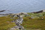 mkb_3-514_6-514_store-korsnes-I-II_2019_053