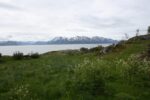 mkb_3-514_6-514_store-korsnes-I-II_2019_072